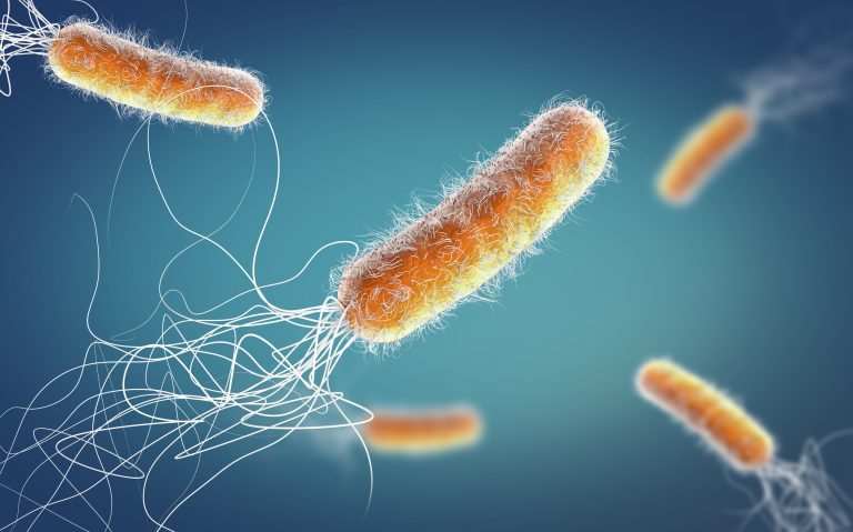 Orange colored multiple antibiotic resistant Pseudomonas aeruginosa bacterium - 3d illustration